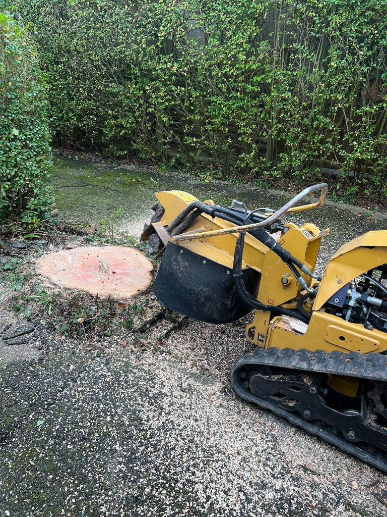 Tree Felling in Preston, Lancashire and Cumbria