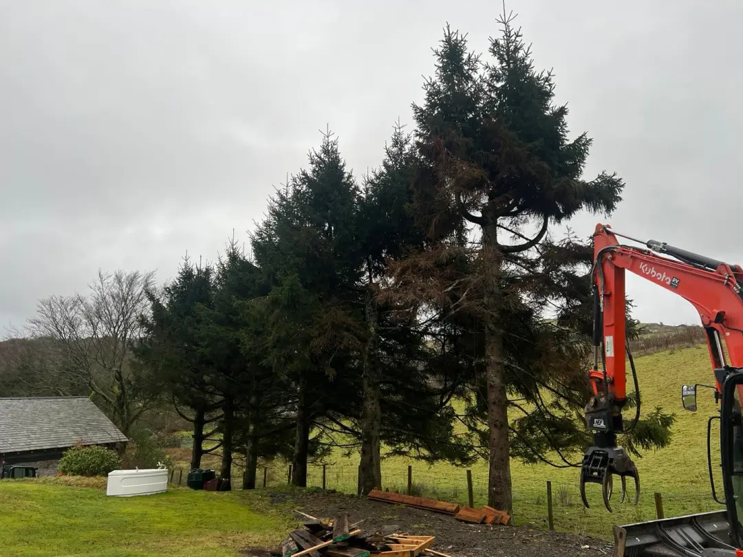 Clitheroe Tree Surgery