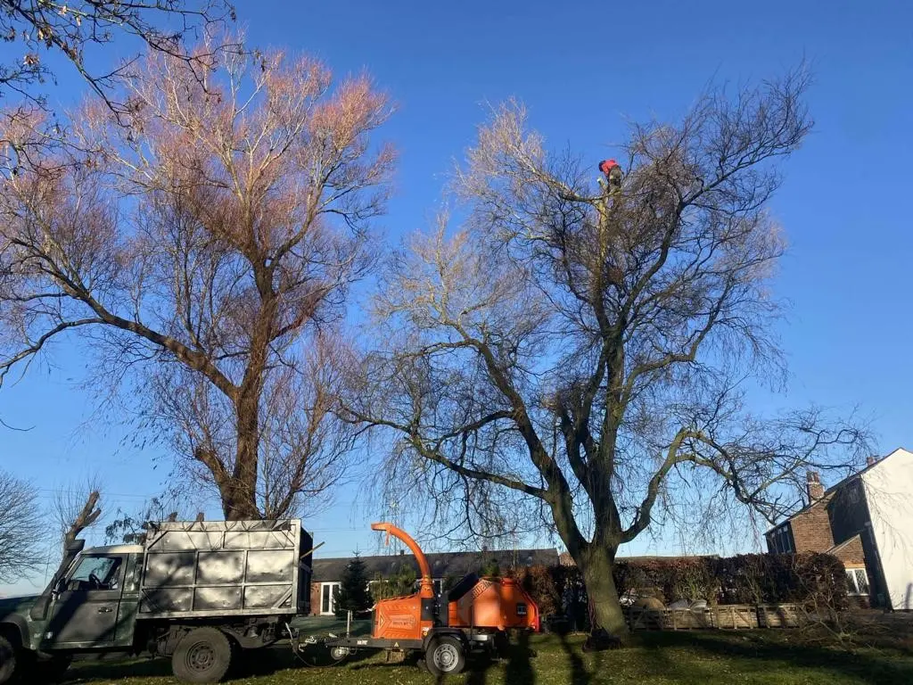 Tree Felling in Lancashire and Cumbria